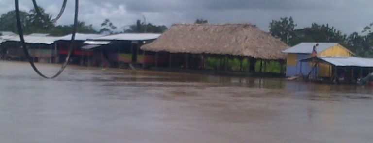 Las inundaciones en las comunidades del río Curvaradó arrasan cultivos y animales
