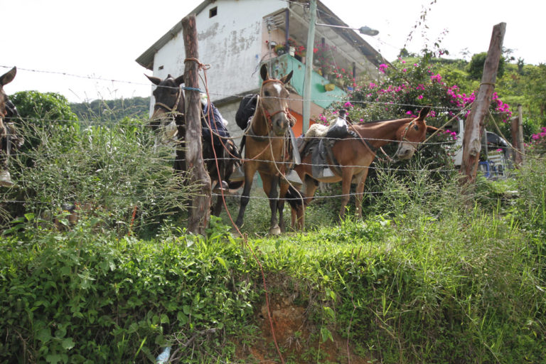 Los matices en la política rural de los acuerdos