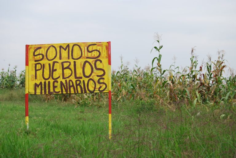 Disculpen las molestias: indígenas liberando a la madre tierra