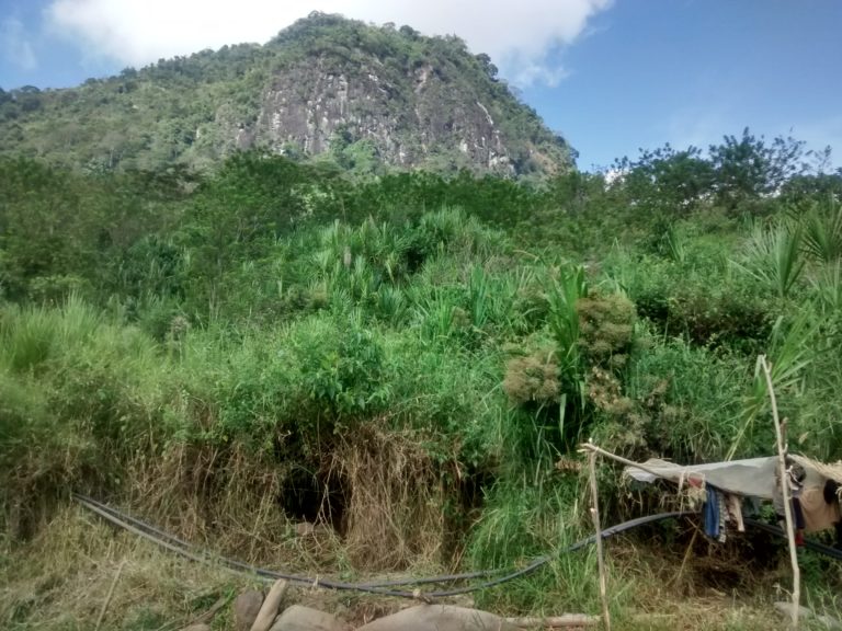La Corte Constitucional avala la autonomía indígena sobre sus territorios