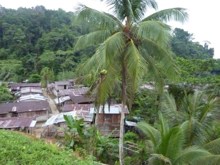 La guerra asedia a las comunidades indígenas del Chocó