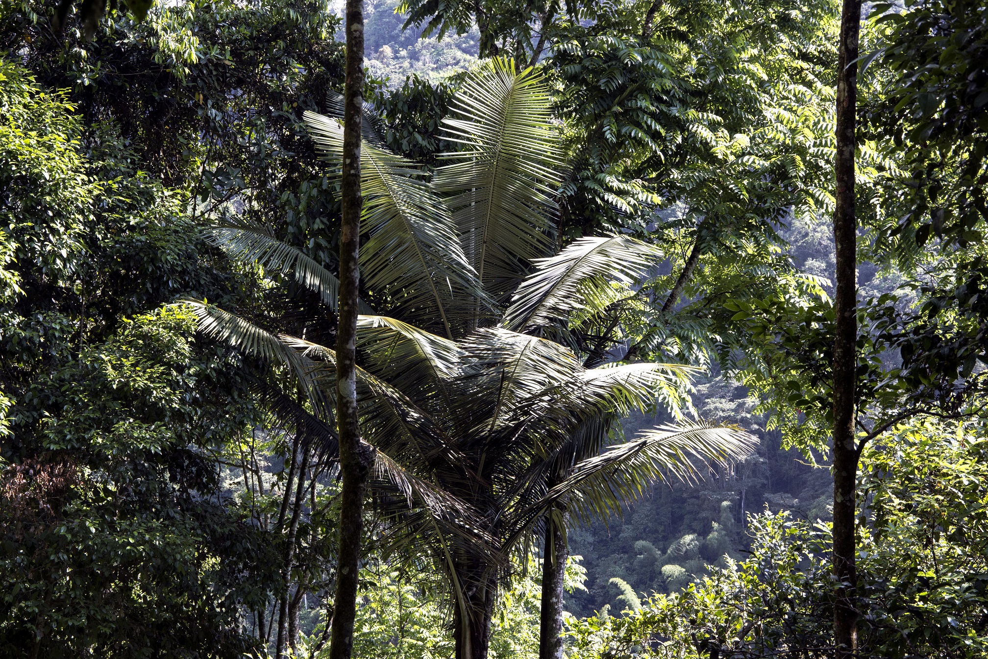 parque-vale