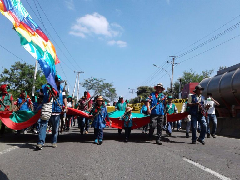Minga Indígena: “Motivos para marchar nos sobran”