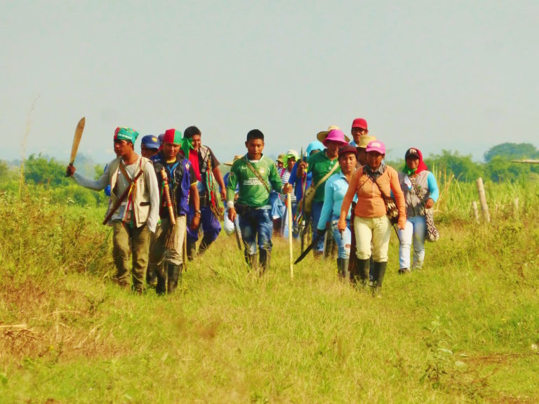 Norte del Cauca, epicentro de la Liberación de la Madre Tierra