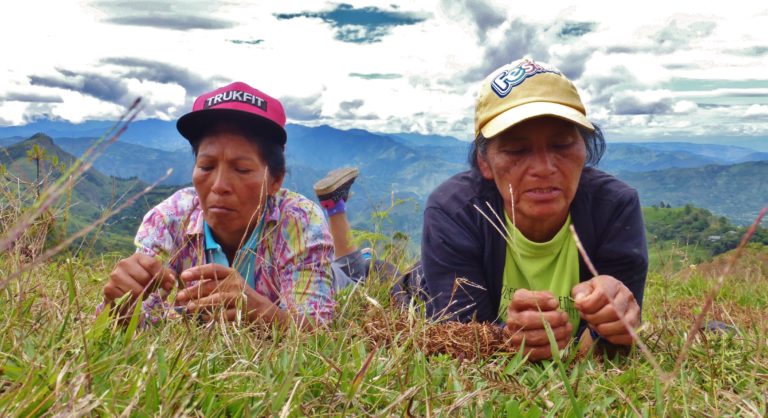 A través de la mujer todo, en Inzá Tierradentro