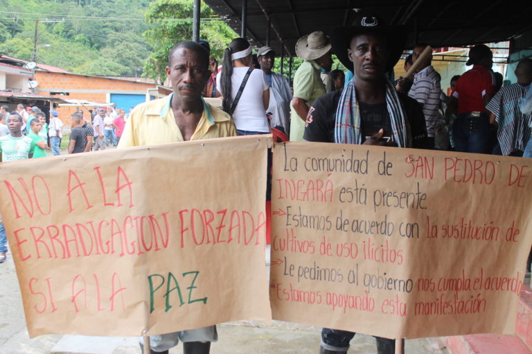 San José del Palmar y la encrucijada de la erradicación voluntaria