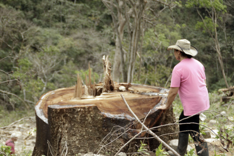 ¿Y los desaparecidos del cañón del río Cauca?