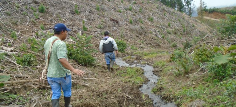 Cartón de Colombia y el lío con las rondas hídricas en Cauca