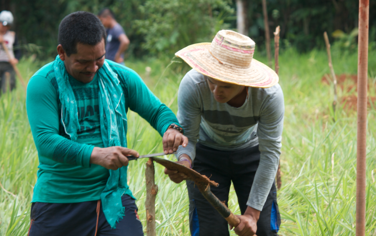 Sin tierra, ni salud, se complica la reincorporación de las FARC