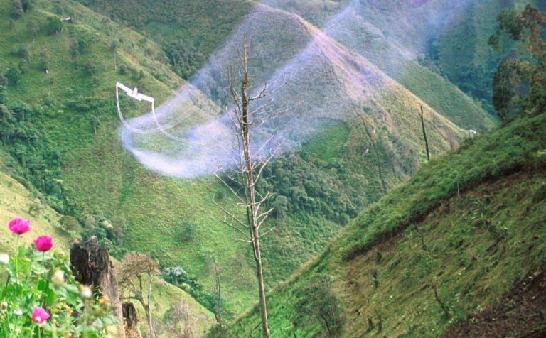 Los obispos del Pacífico y del Suroccidente dicen no a las fumigaciones, sí a la vida